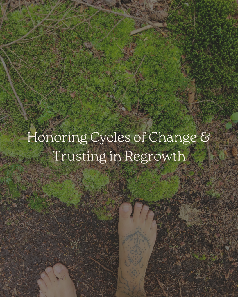 Honoring Cycles of Change & Trusting in Regrowth