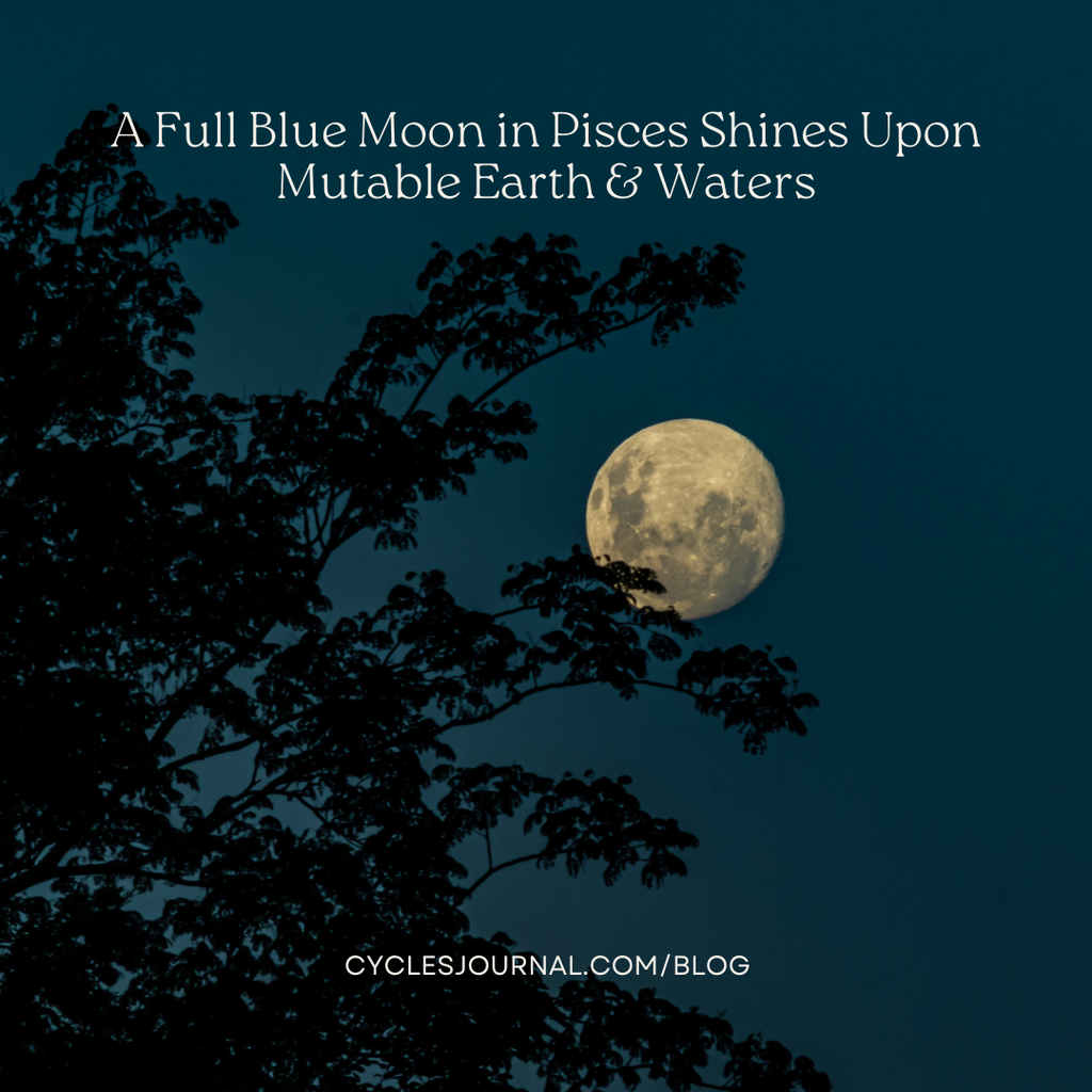A Full Blue Moon in Pisces Shines Upon Mutable Earth & Waters