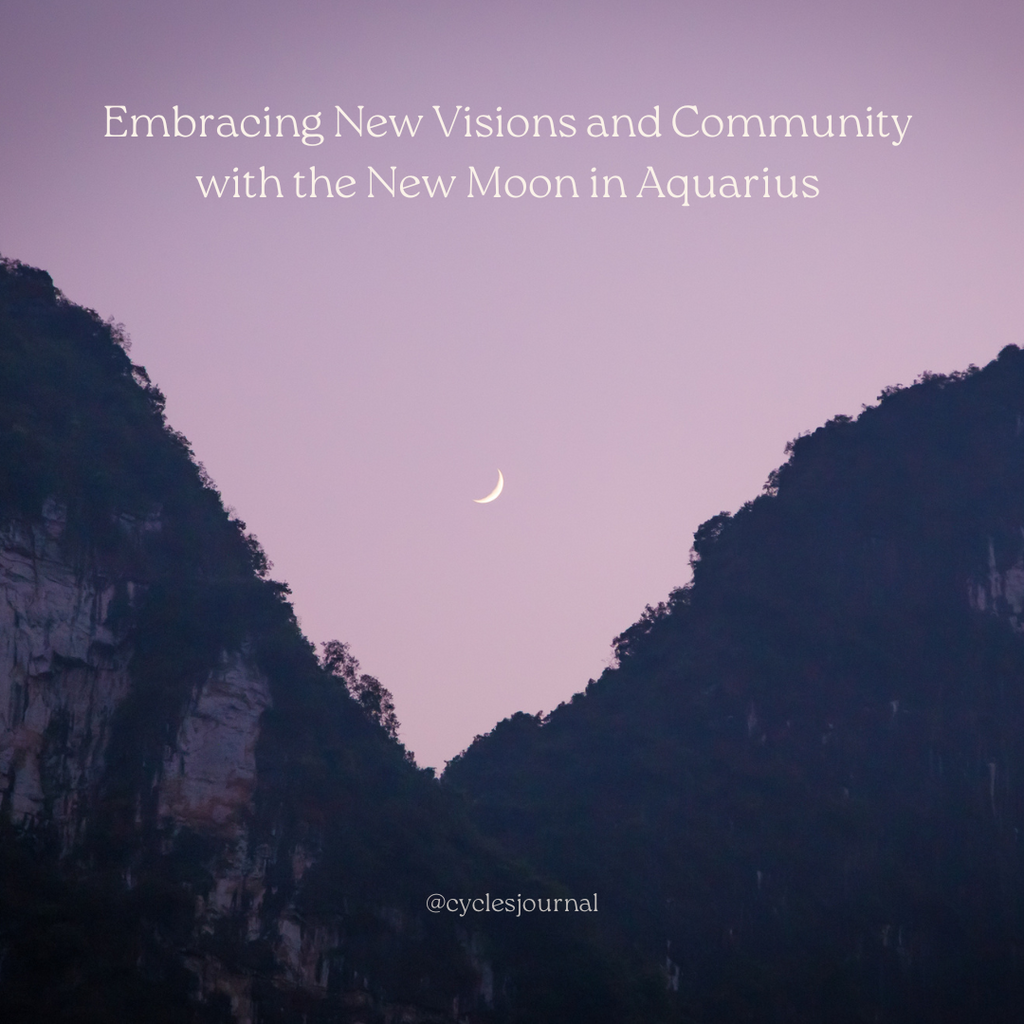 Embracing New Visions and Community  with the New Moon in Aquarius