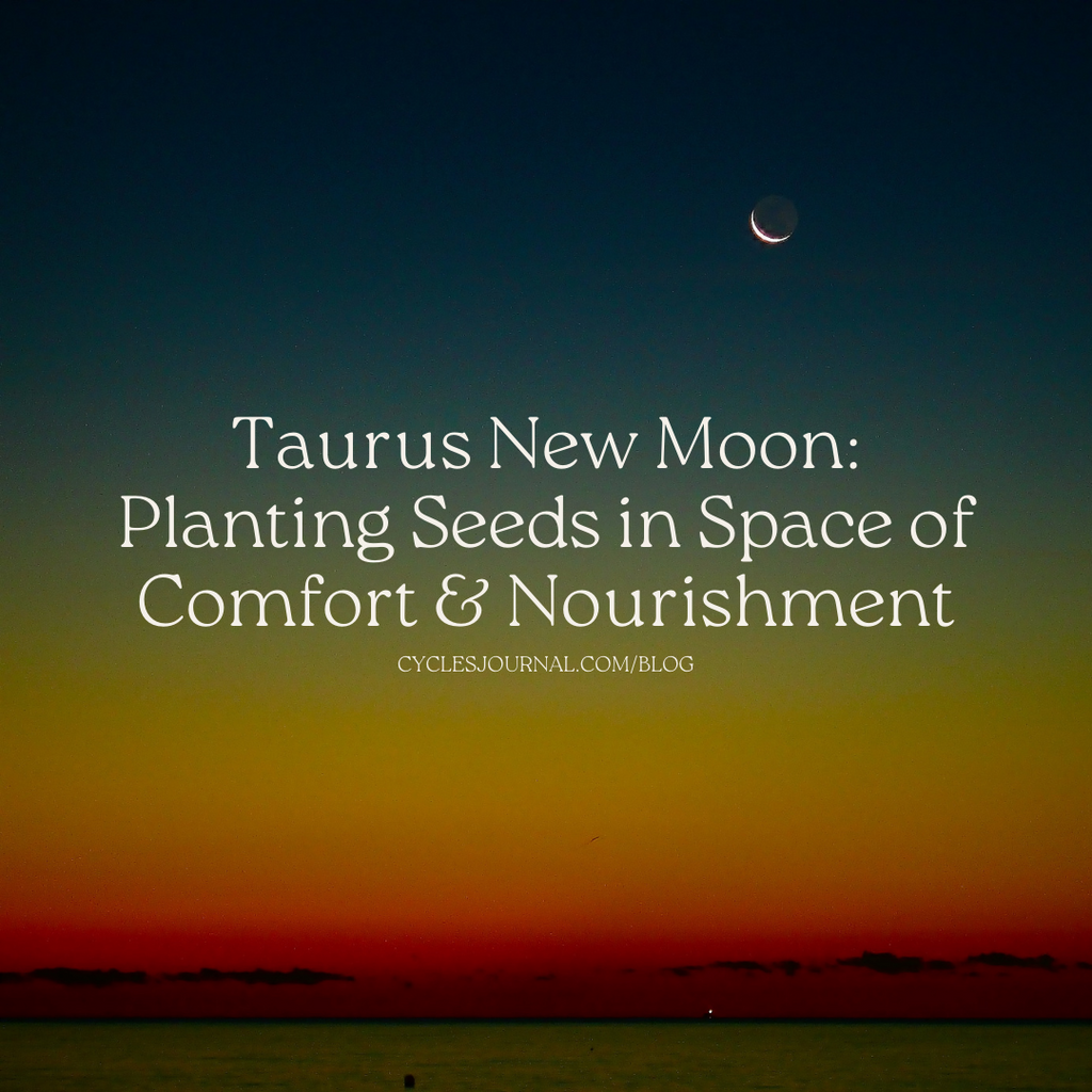 Planting Seeds in Space of Comfort & Nourishment