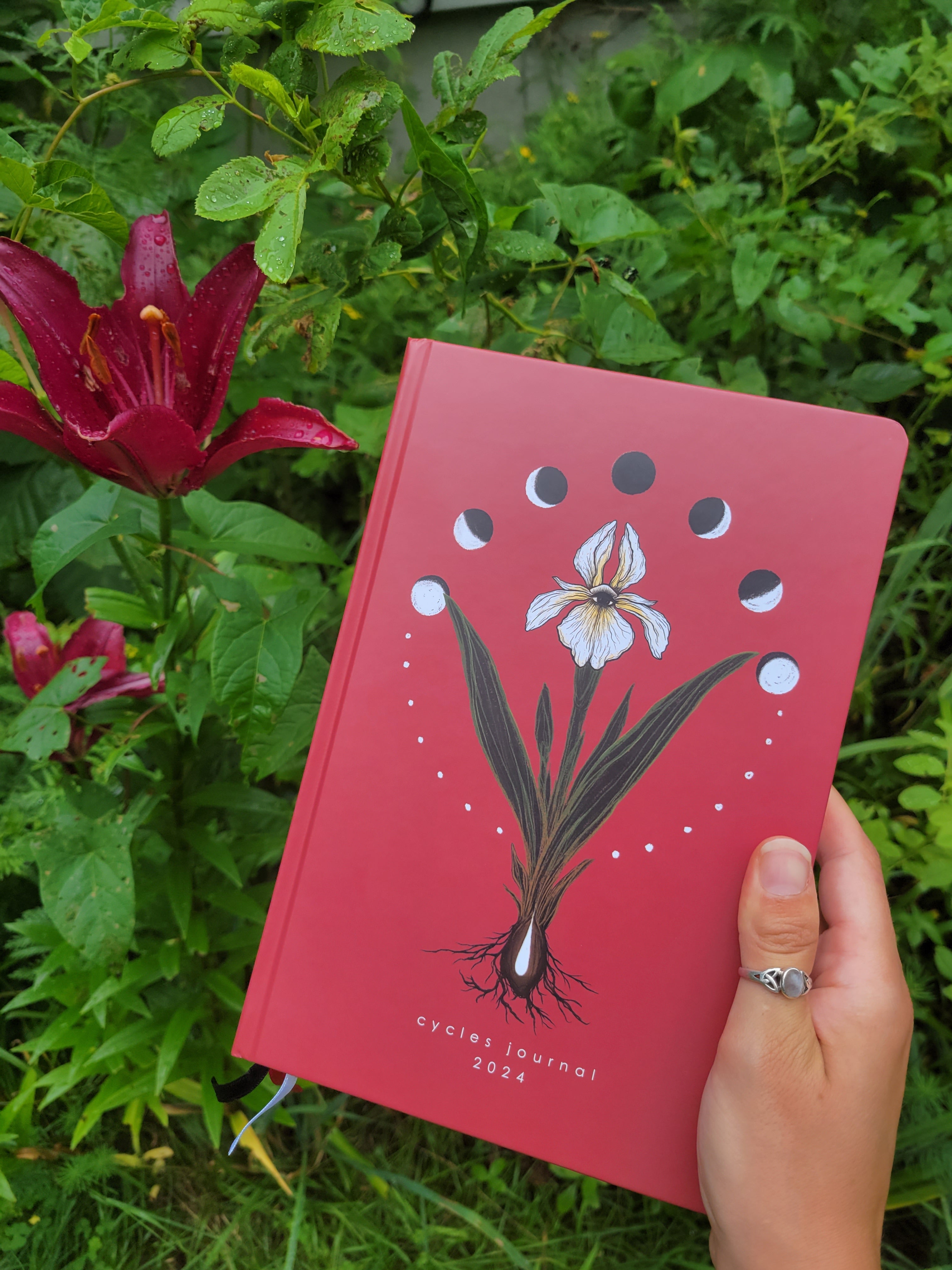 Menstrual Musings: 22 Journal prompts for the 4 phases of the menstrual +  lunar cycle