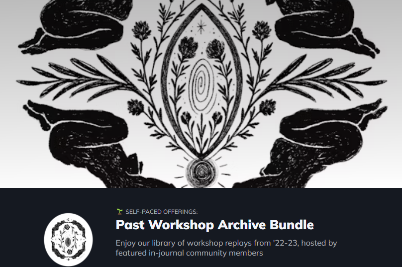 Wisdom Workshop Archive Bundle