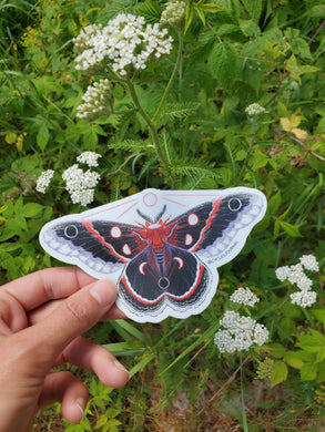 Moon Moth Vinyl Sticker - Cycles Journal – Healing Tools for Witches, Women & Womb-Holders