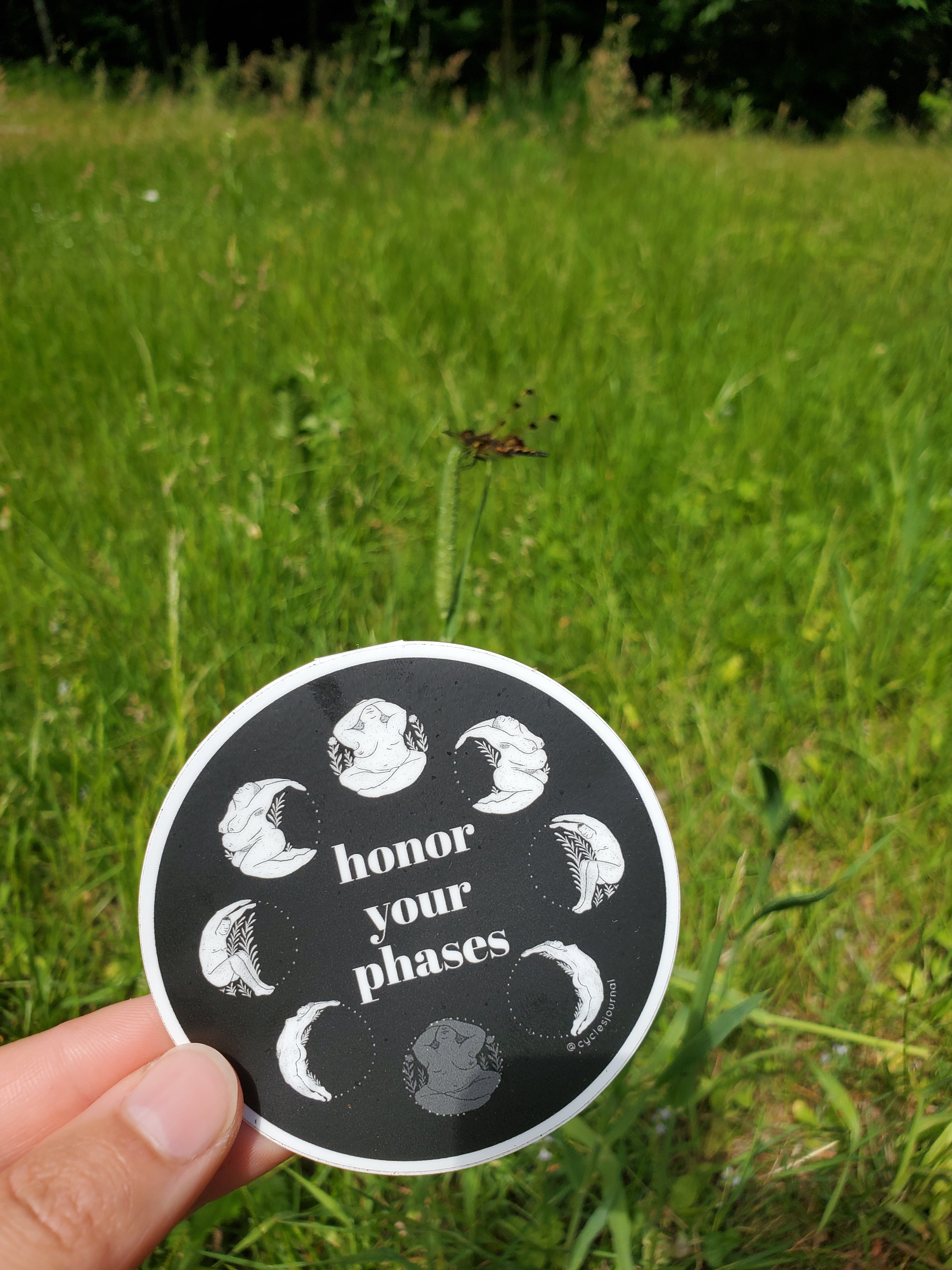 Honor Your Phases Vinyl Sticker - Cycles Journal – Healing Tools for Witches, Women & Womb-Holders